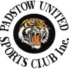 Padstow United - Yellow Logo