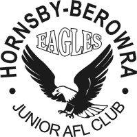 Hornsby Berowra Eagles U12 - 2