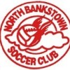 North Bankstown SC - ORANGE Logo