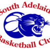South Adelaide Panthers 1 Logo