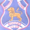 Milperra lions SC - Green Logo