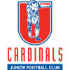 Cardinals Y11-12 Logo