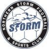 Northern Storm Blizzards Logo