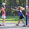 2013, Round 16 Vs. DWWWW - Netball