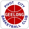 Pivot City Logo