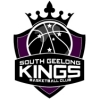 SG Kings Falcons Logo