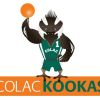 Colac Kookas Logo