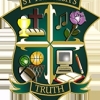 St Theresas Steelers Logo