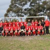 Noble Park Committee & Senior Players