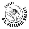 Valsesia Basket Logo