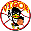 Vigor Basket Conegliano Logo