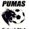 Parramatta Pumas Futsal Club Logo