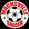Macksville Stingers Logo