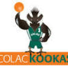 Colac Kookas White Logo
