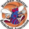 Horsham Hornets  Logo