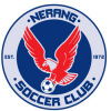 Nerang Blue Logo