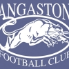 Angaston Senior Colts Logo