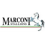 Marconi Stallions