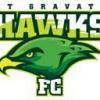 Mt Gravatt Hawks MC4G Logo