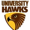University Hawks Gold Logo