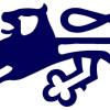 Collegians (BJC) Logo