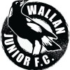 Wallan White Logo