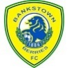 Bankstown Berries FC Logo
