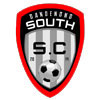 Dandenong South New Logo
