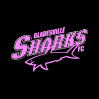 Gladesville Sharks Grey