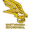 East Wagga Kooringal Hawks Logo