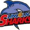 Port Lincoln Sharks Logo