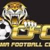 Tigers FC Logo