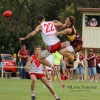 Mount Compass v Willunga at Willunga Oval, April 5, 2014