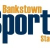 Bankstown Sports Stars FC - YELLOW Logo