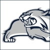 Northern Bobcats Lions (W14) Logo