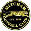 Mitcham Tigers Black Logo