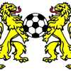 Lions Logo