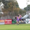 Round 5 v Werribee Districts 2014