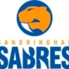 Sandringham Logo