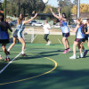 Junior Netball and Junior Football 26 and 27 April 2014