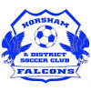 Horsham SC Logo