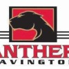 Panthers Corvette Logo