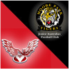 Newtown/Moore Park U13 Div 1 Logo