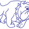 Tuggeranong Bulldogs Logo