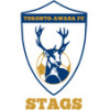 Toronto Awaba FC - NewFM (1st Grade) Logo