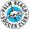 Palm Beach Sharks SC  Logo