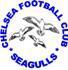 Chelsea Football Netball Club