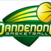 Dandenong Stingrays  Logo