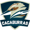 CAC 23B.1 Logo