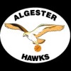 #AHB302 Hawks Logo